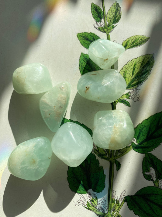 Prehnite Tumble - Moon Room Shop and Wellness