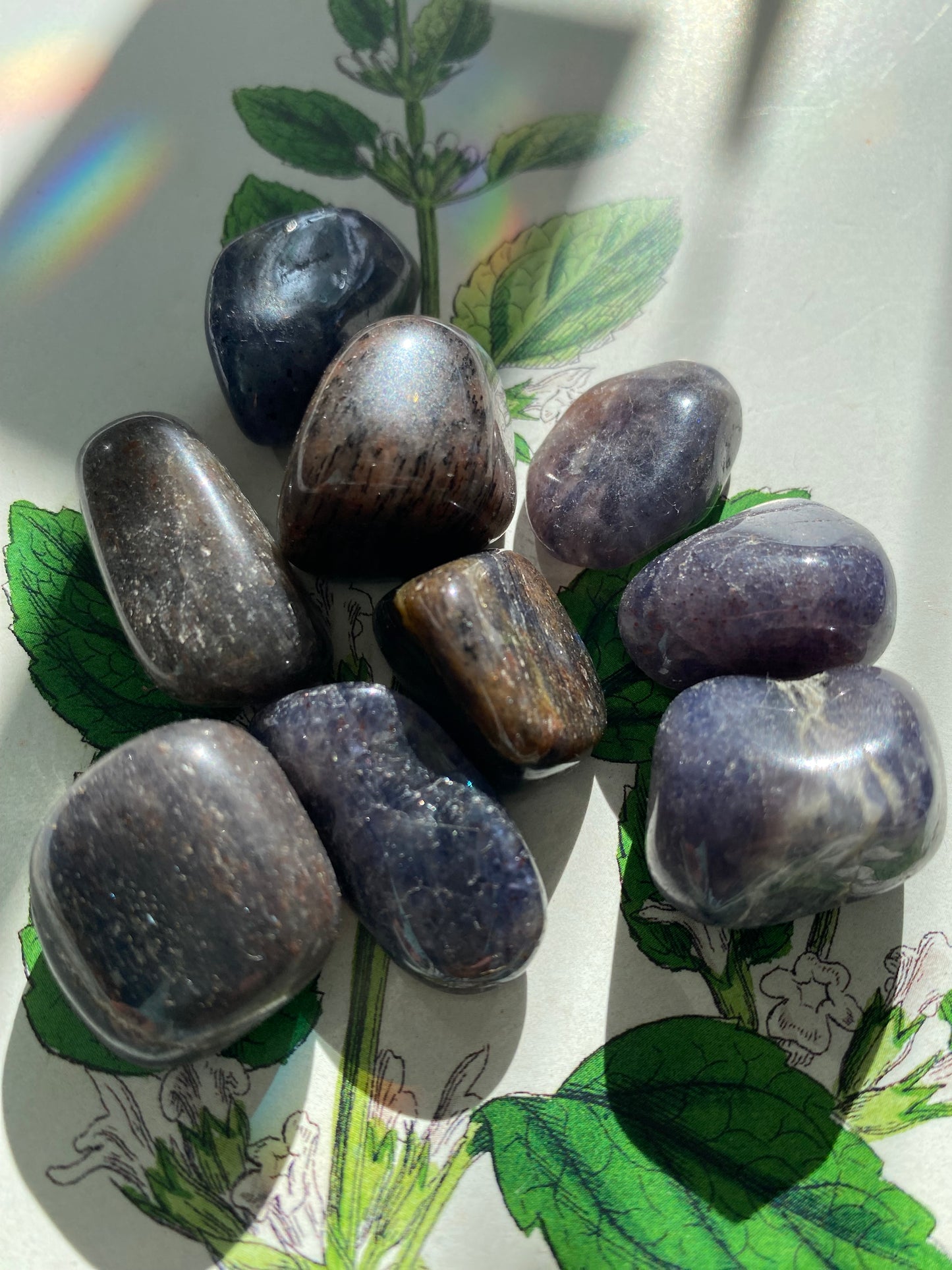 Iolite Tumbled - Moon Room Shop and Wellness