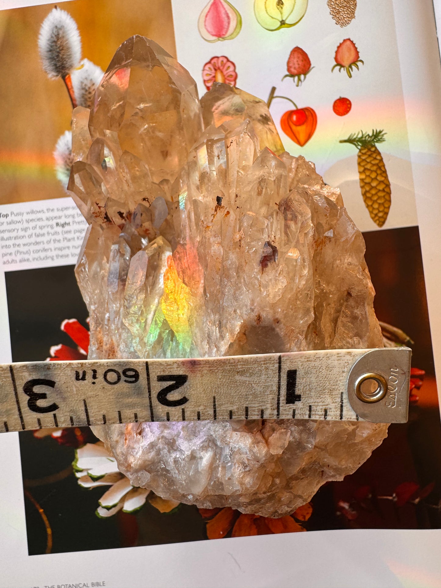 Citrine Natural Specimens- 1.91 lb- Congo - Moon Room Shop and Wellness