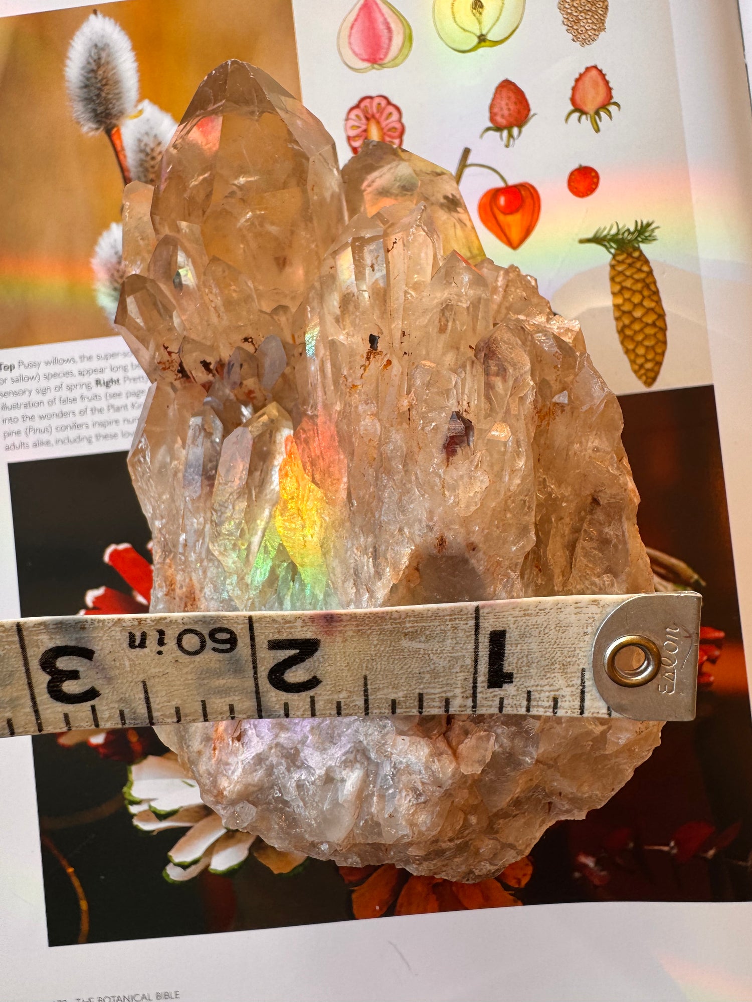 Citrine Natural Specimens- 1.91 lb- Congo - Moon Room Shop and Wellness