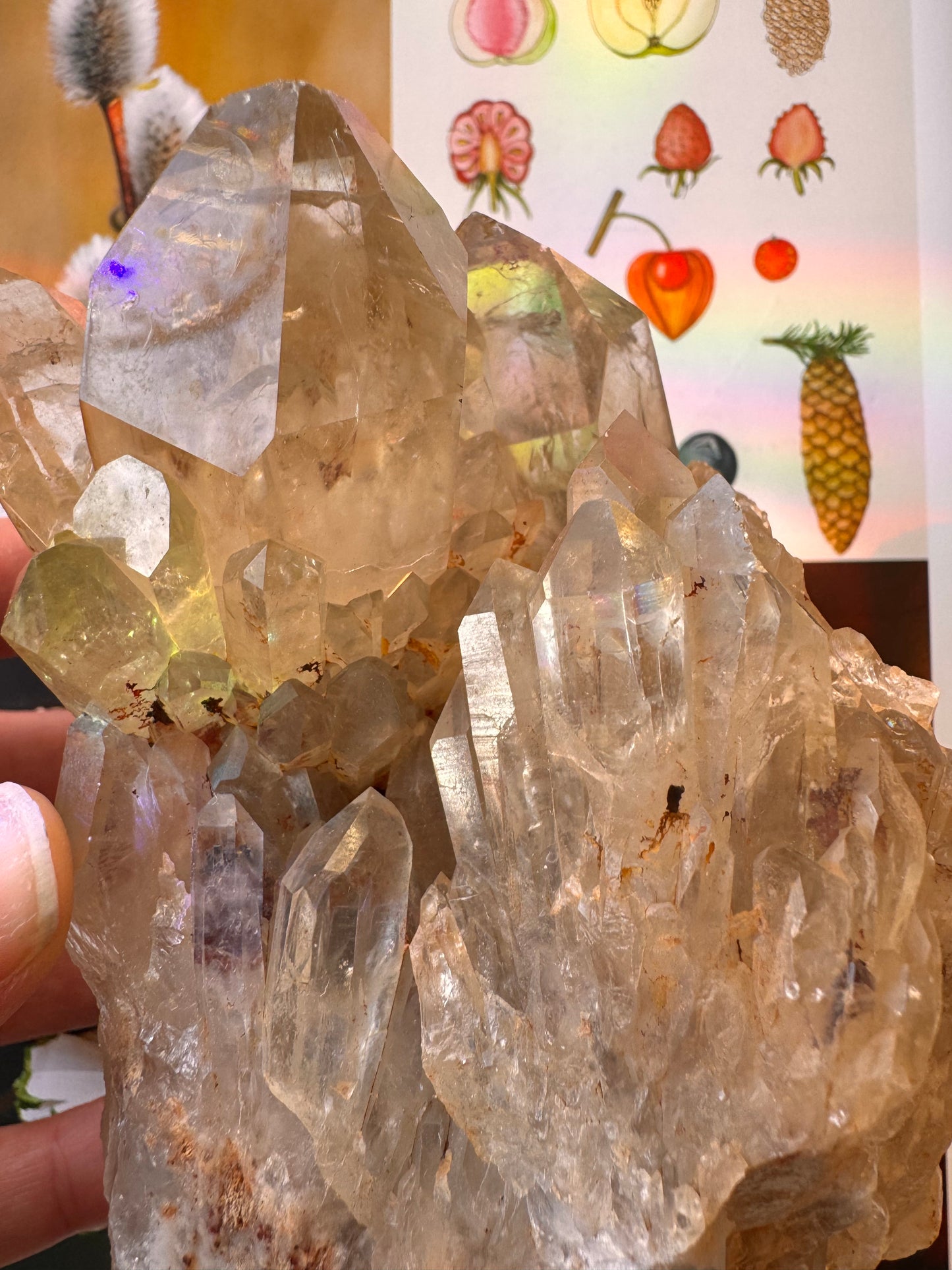 Citrine Natural Specimens- 1.91 lb- Congo - Moon Room Shop and Wellness