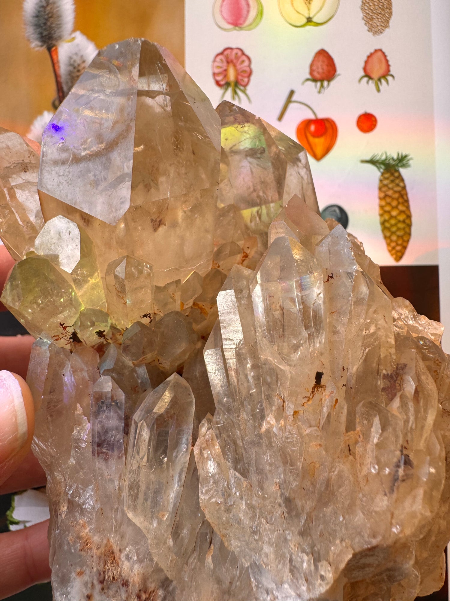 Citrine Natural Specimens- 1.91 lb- Congo - Moon Room Shop and Wellness