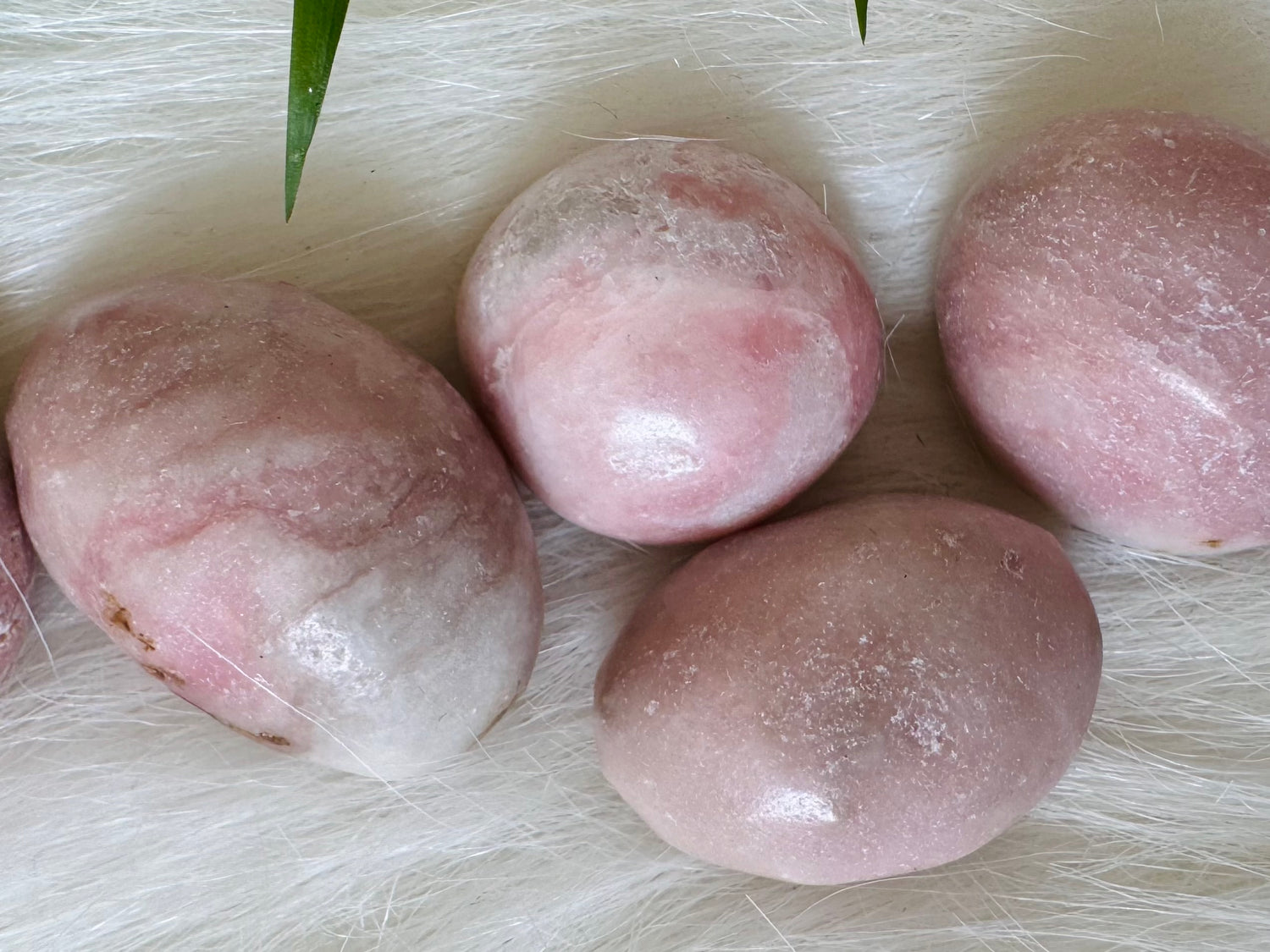 Pink Opal Tumbled - Moon Room Shop and Wellness