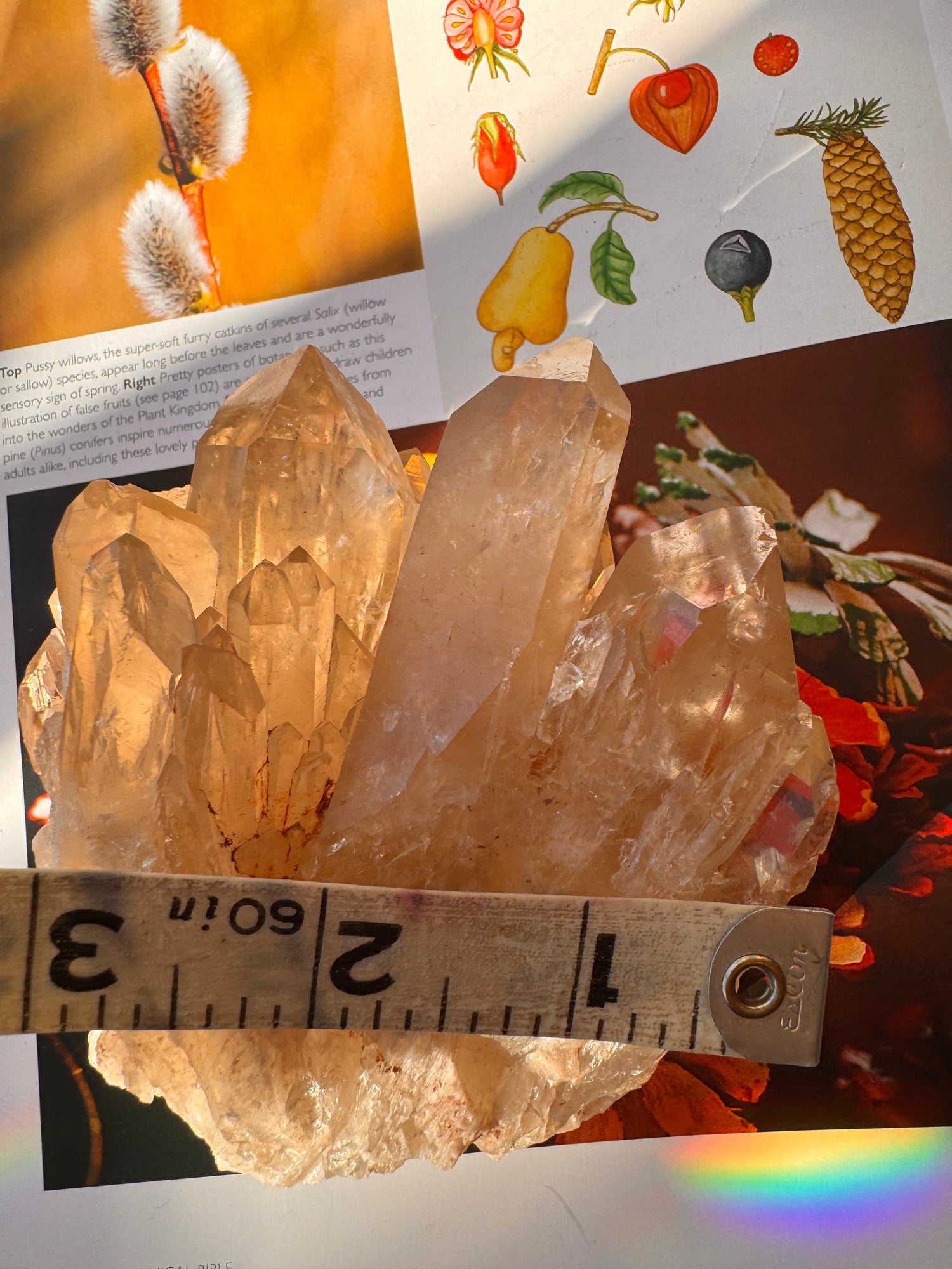 Citrine Natural Specimens- 1.04 lb- Congo - Moon Room Shop and Wellness
