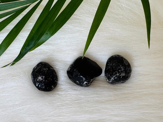 Apache Tears - Black Obsidian: Medium - Moon Room Shop and Wellness