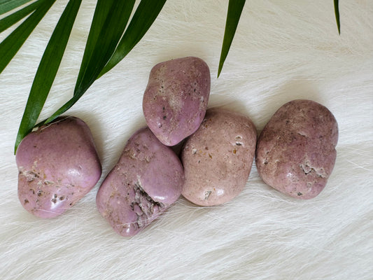 Phosphosiderite Tumbled - Moon Room Shop and Wellness
