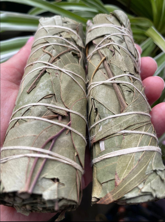 Eucalyptus Smudge Bundles