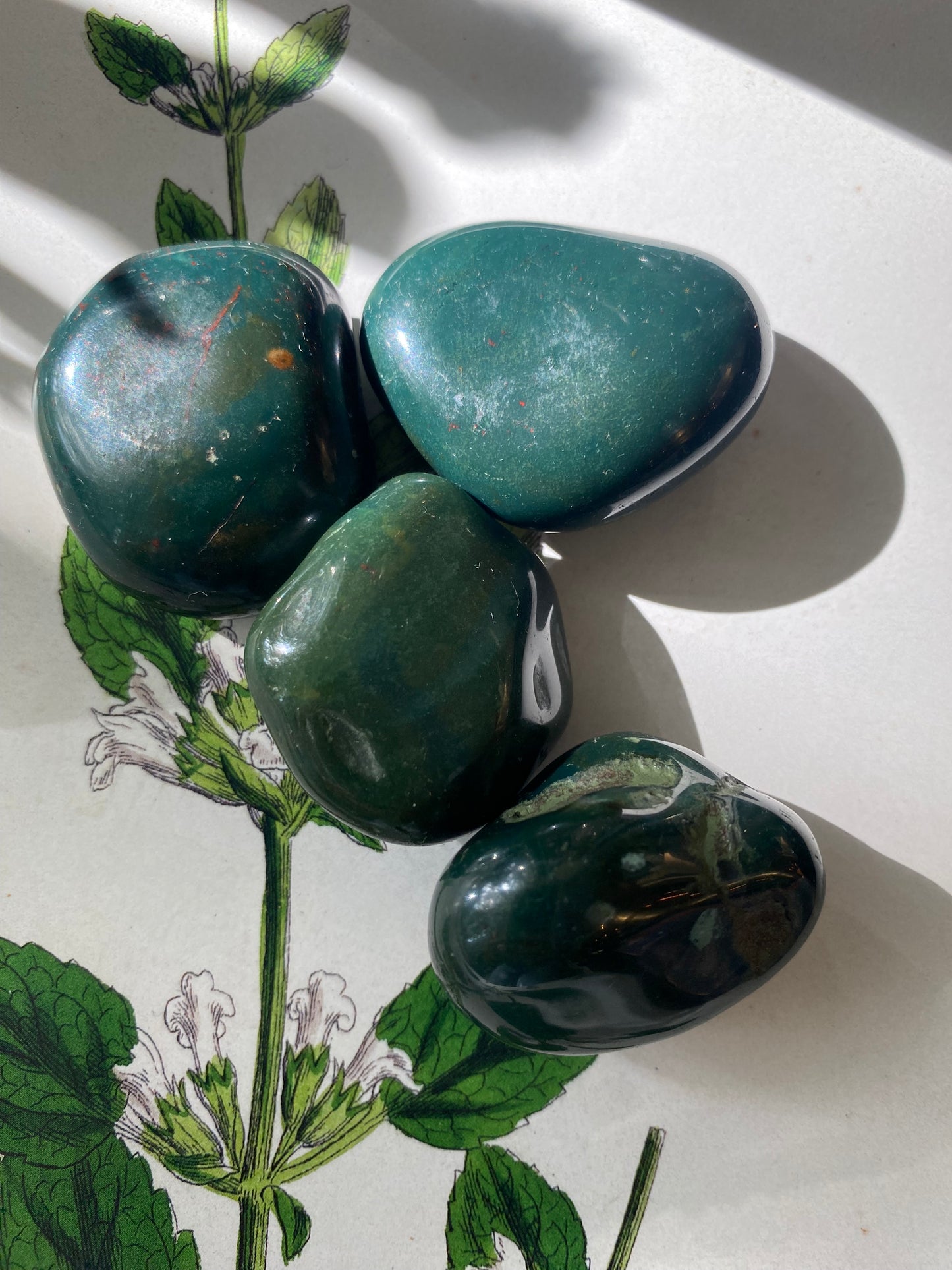 Bloodstone Tumbled - Moon Room Shop and Wellness