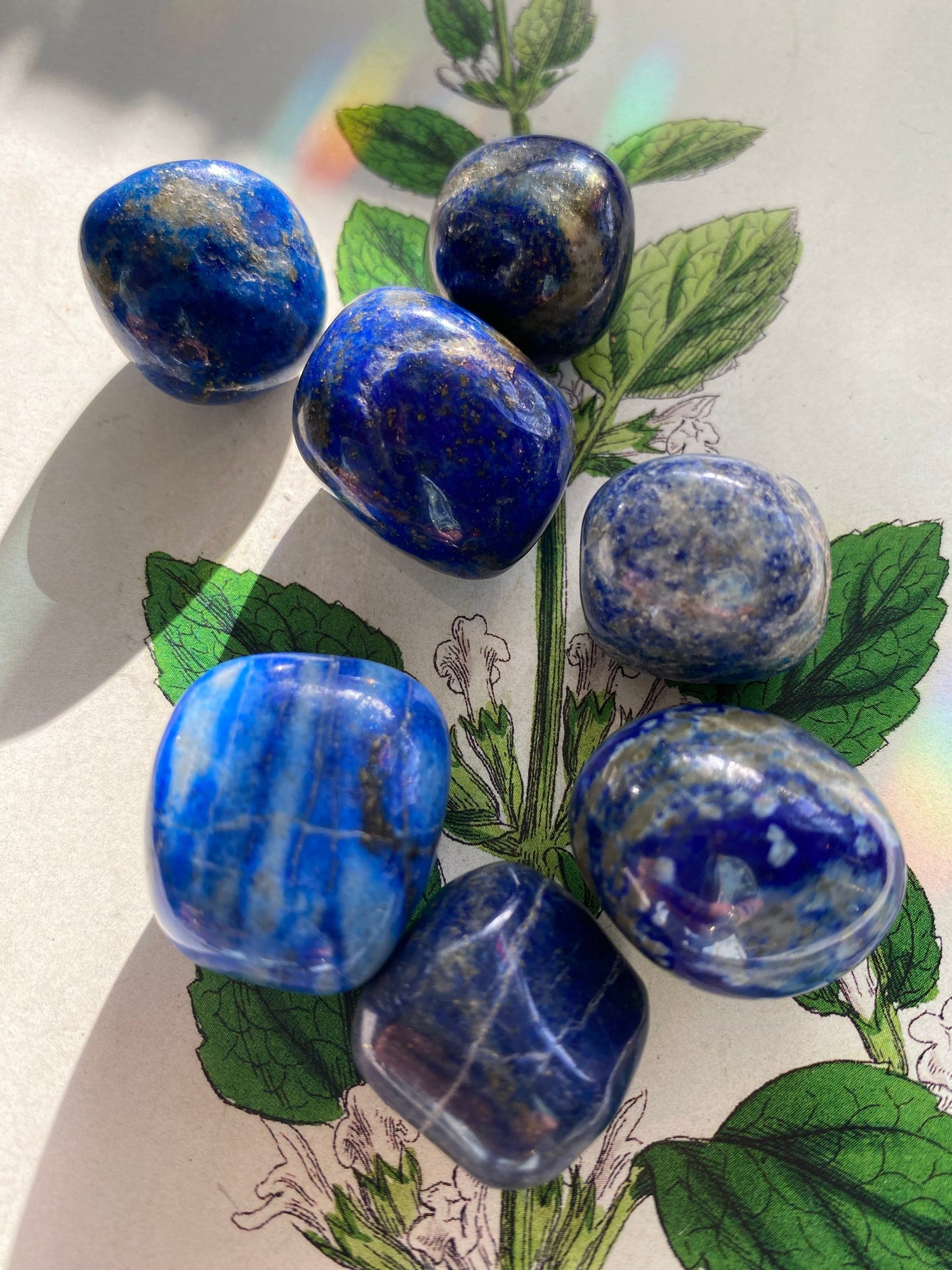 Lapis Lazuli Tumbled Stone - Moon Room Shop and Wellness