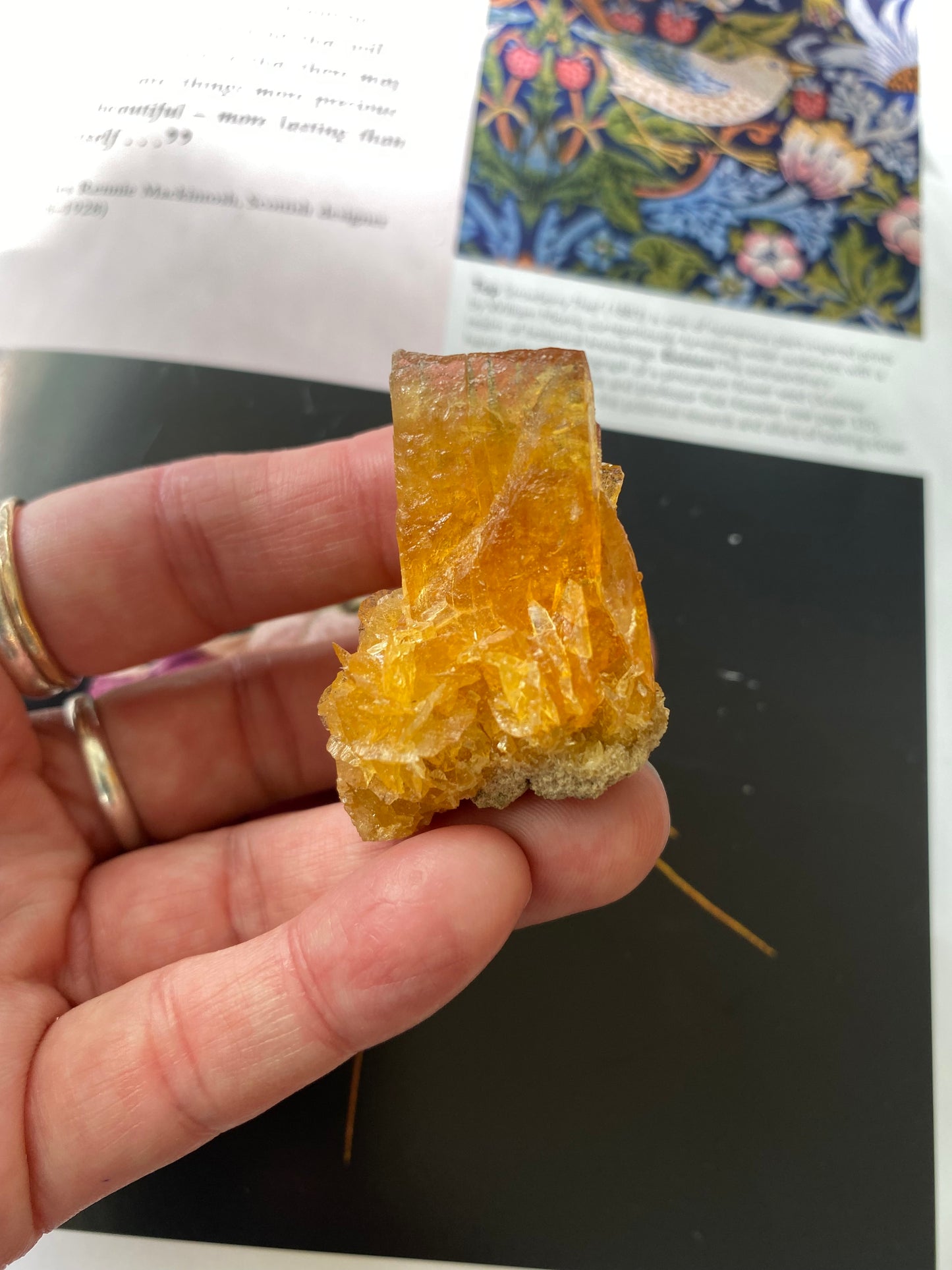 Golden Selenite w/ Halite - 18 g - Peru- UV Reactive - Moon Room Shop and Wellness