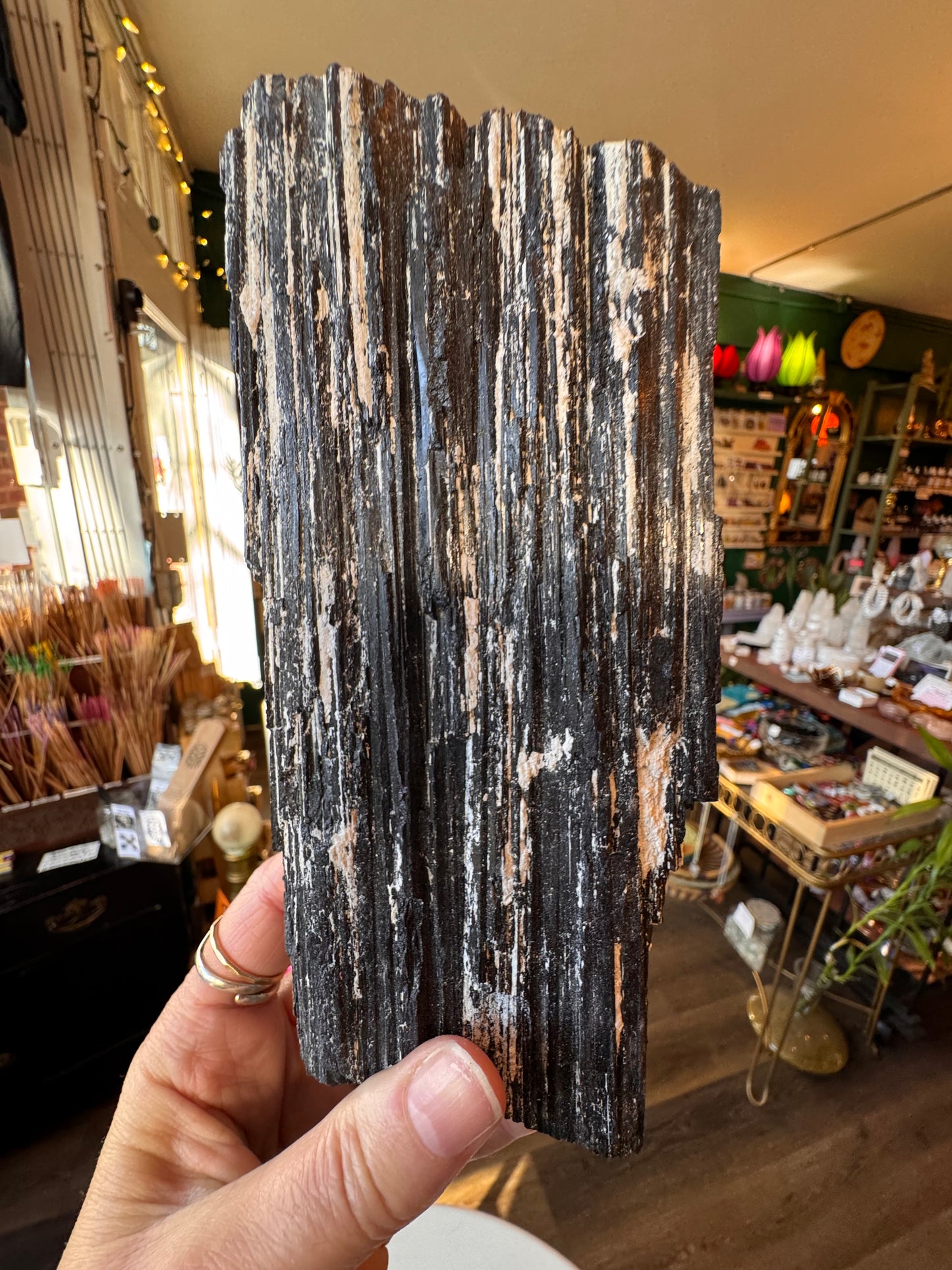 Black Tourmaline Raw 2.42 lb - Moon Room Shop and Wellness