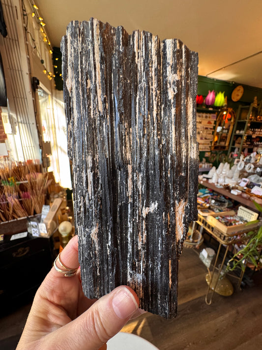 Black Tourmaline Raw 2.42 lb - Moon Room Shop and Wellness