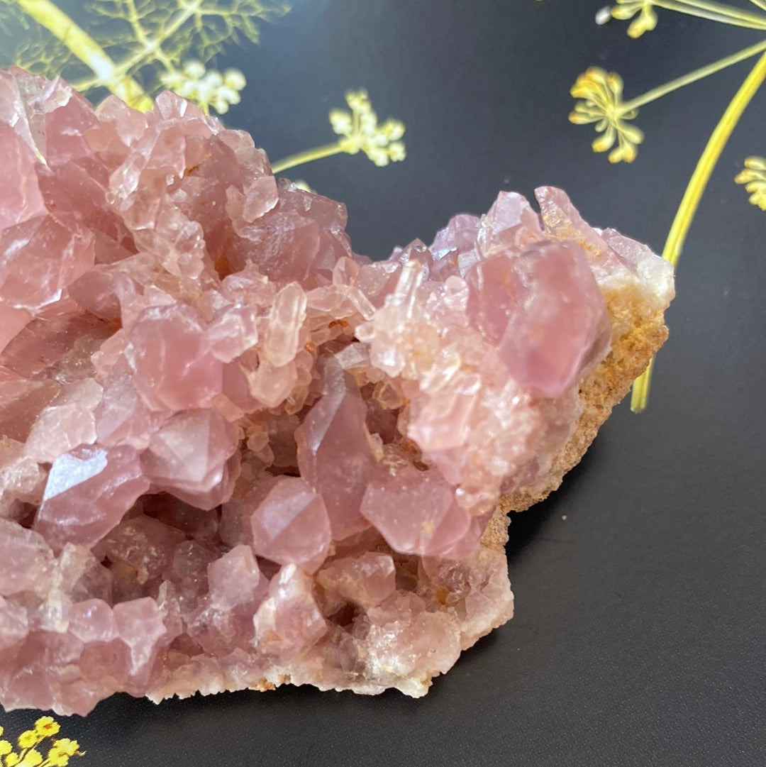 Pink Amethyst Geode - 73 g - Argentina - Moon Room Shop and Wellness