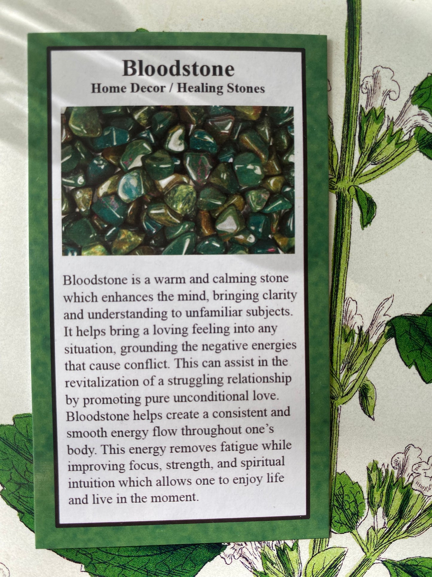 Bloodstone Tumbled - Moon Room Shop and Wellness