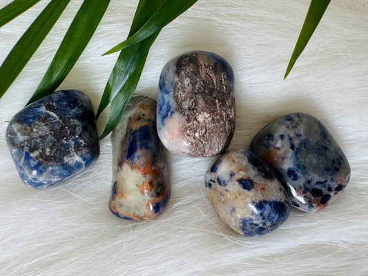 Sodalite Tumbled - Moon Room Shop and Wellness