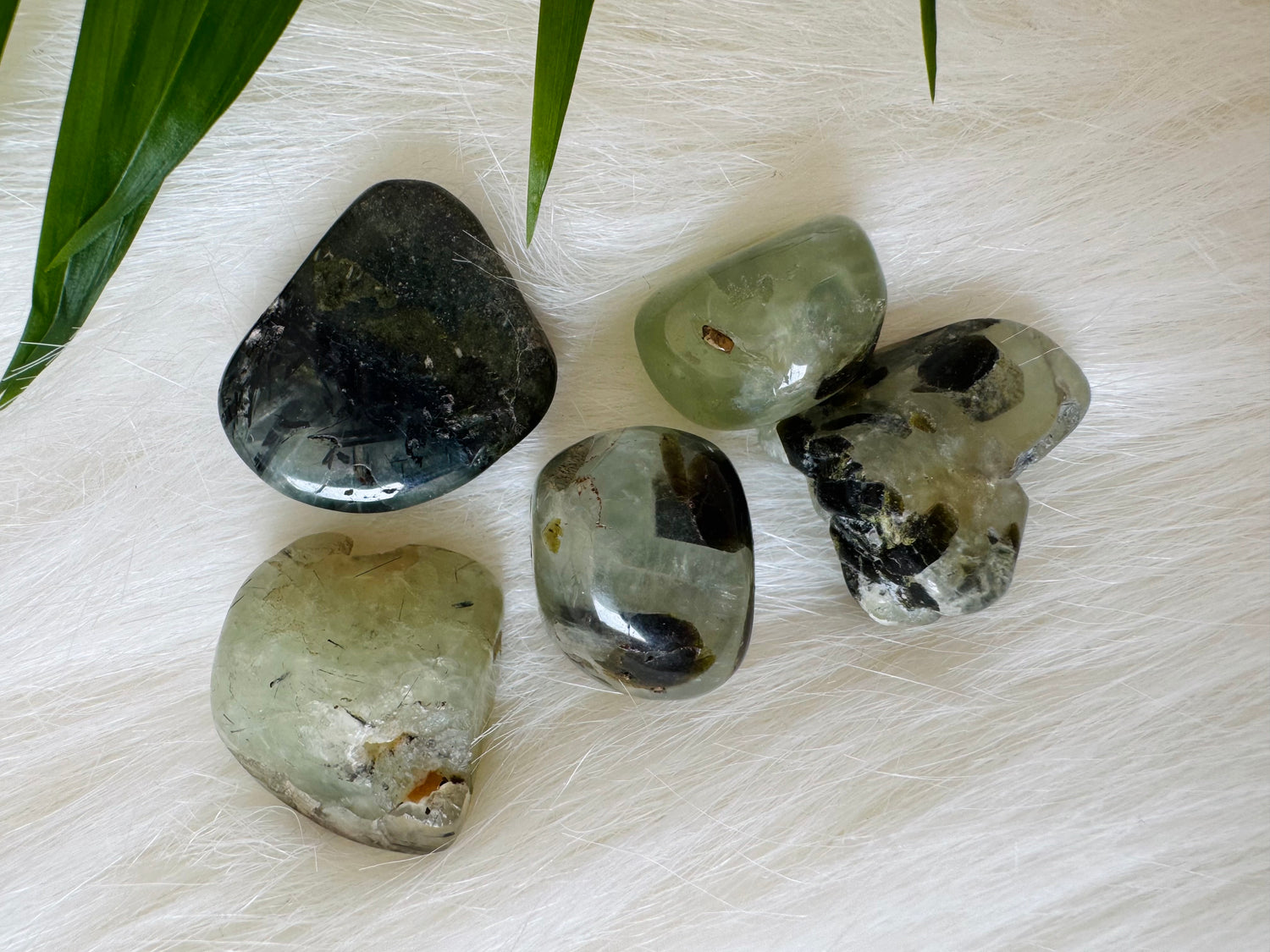 Prehnite with Rutile Tumbled - Moon Room Shop and Wellness