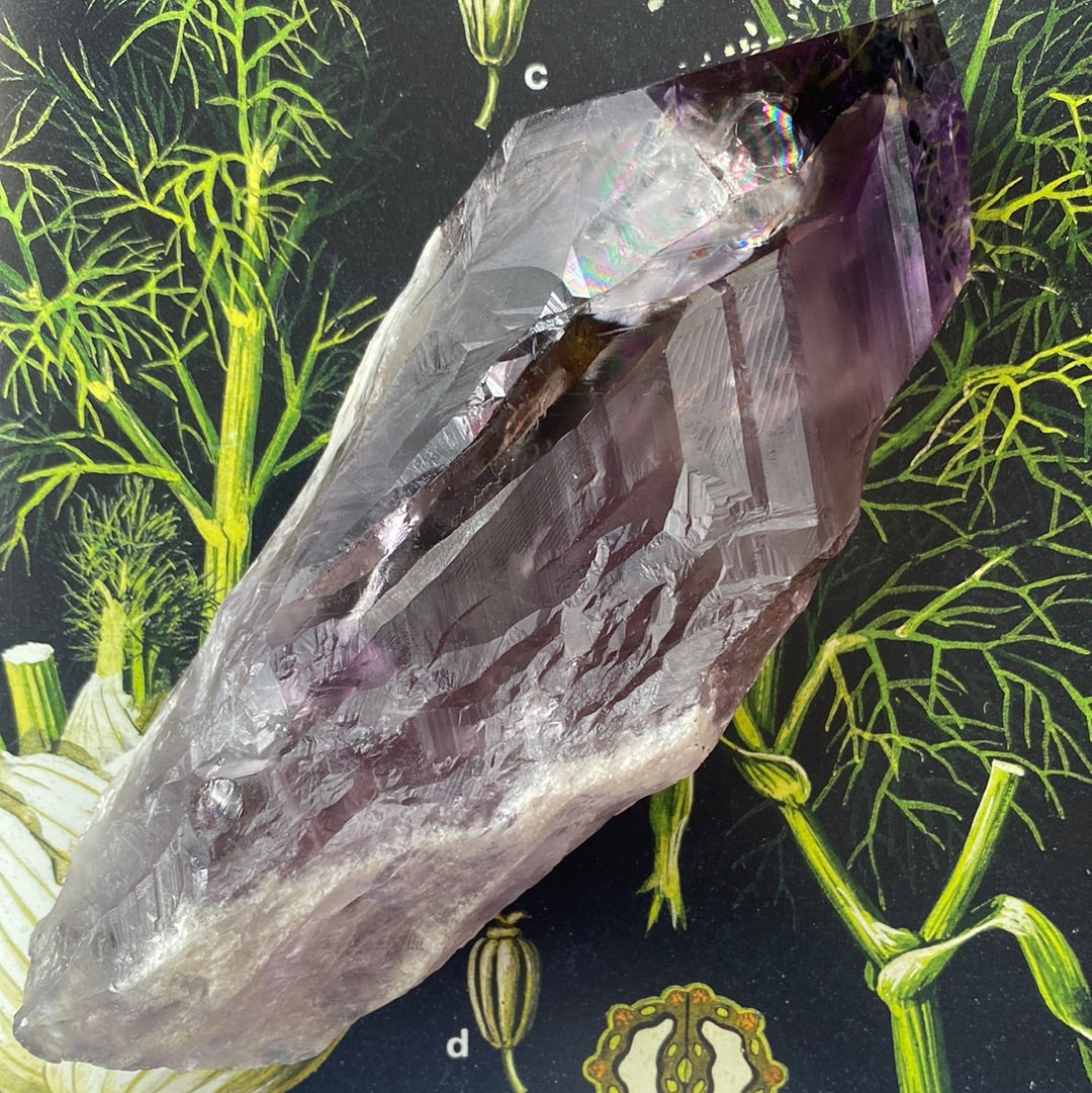 Amethyst Dragon's Tooth Spear Grade A - 1.06 lbs - Moon Room Shop and Wellness