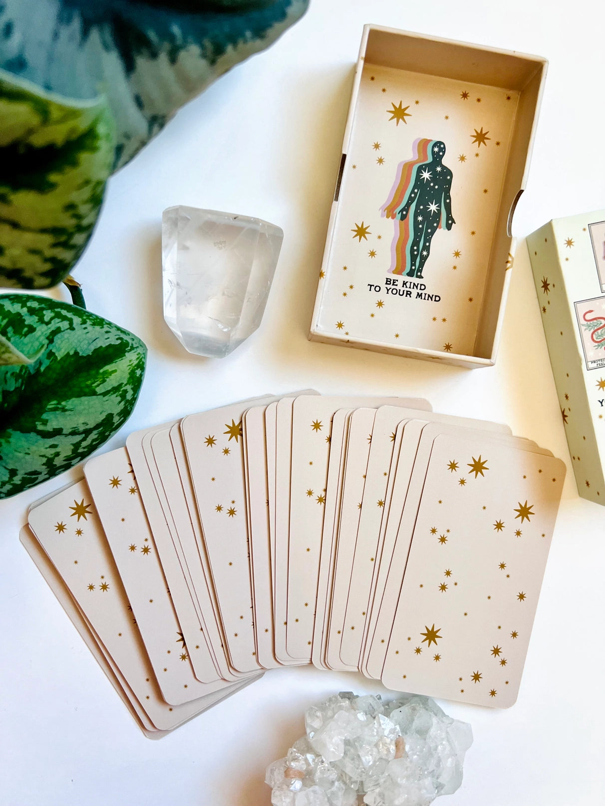 Your Feelings Are Valid Oracle Deck - Moon Room Shop and Wellness