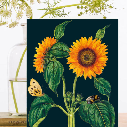 Midnight Botanical Sunflowers Greeting Card- Blank - Moon Room Shop and Wellness