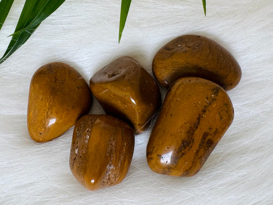 Yellow Jasper Tumbled - Moon Room Shop and Wellness