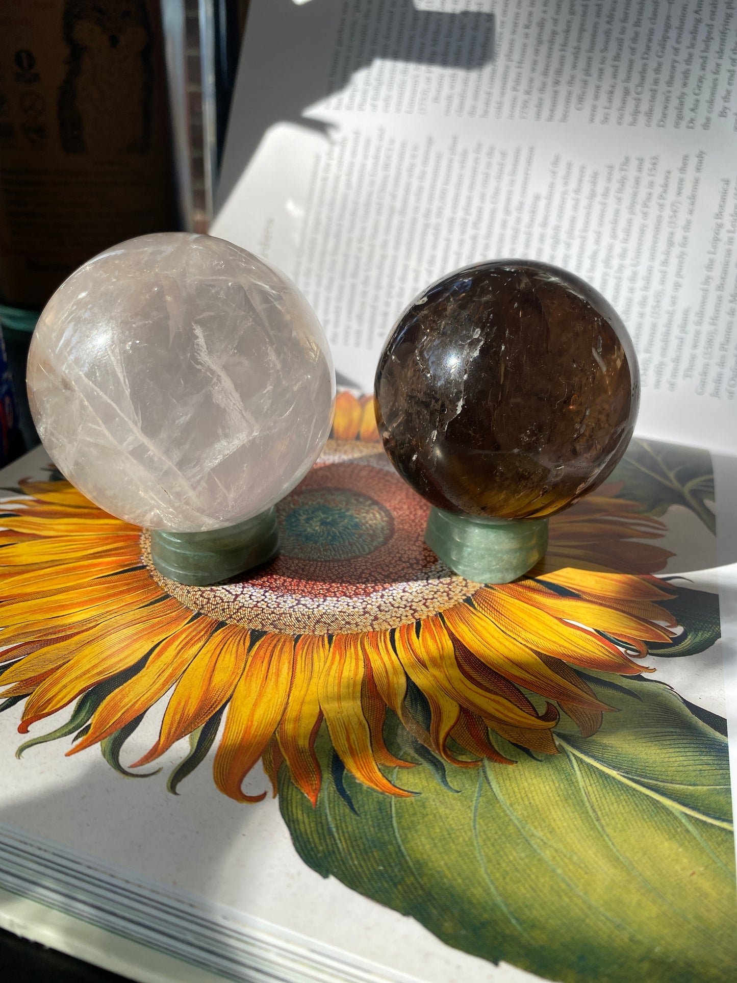 Green Aventurine Sphere Stand - Moon Room Shop and Wellness