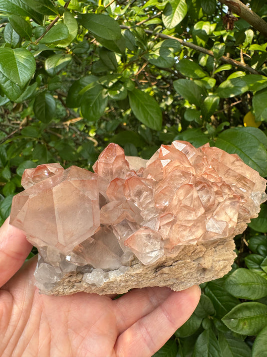 Pink Lithium Quartz Cluster 1lb 5oz - Brazil- Peaceful Beauty! - Moon Room Shop and Wellness