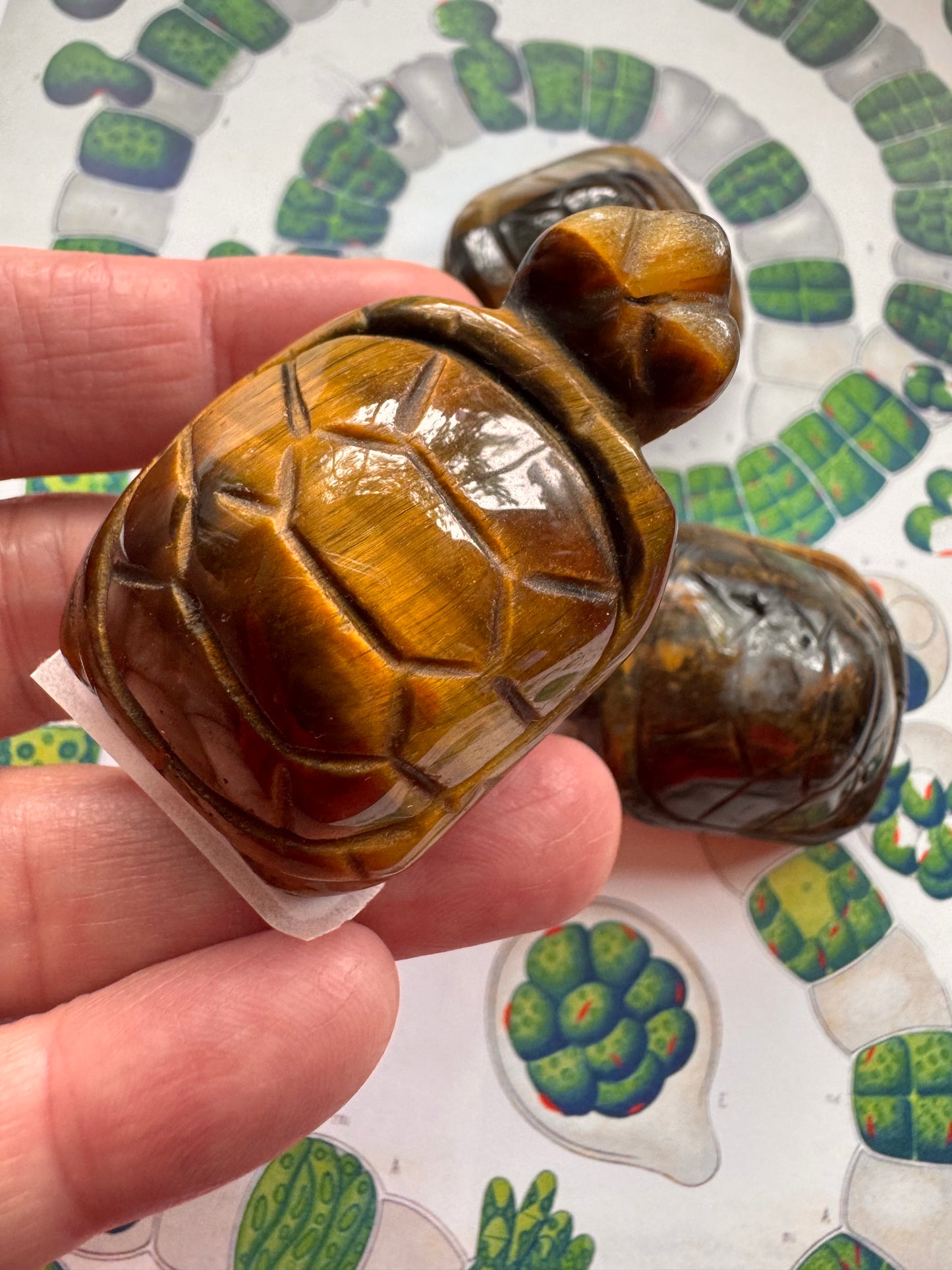Tiger's Eye Turtle - Moon Room Shop and Wellness