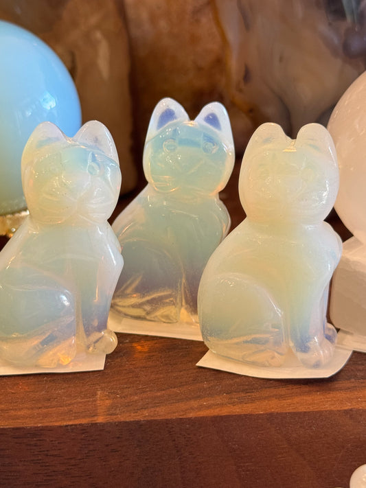 Opalite Cat 2x1 - Moon Room Shop and Wellness