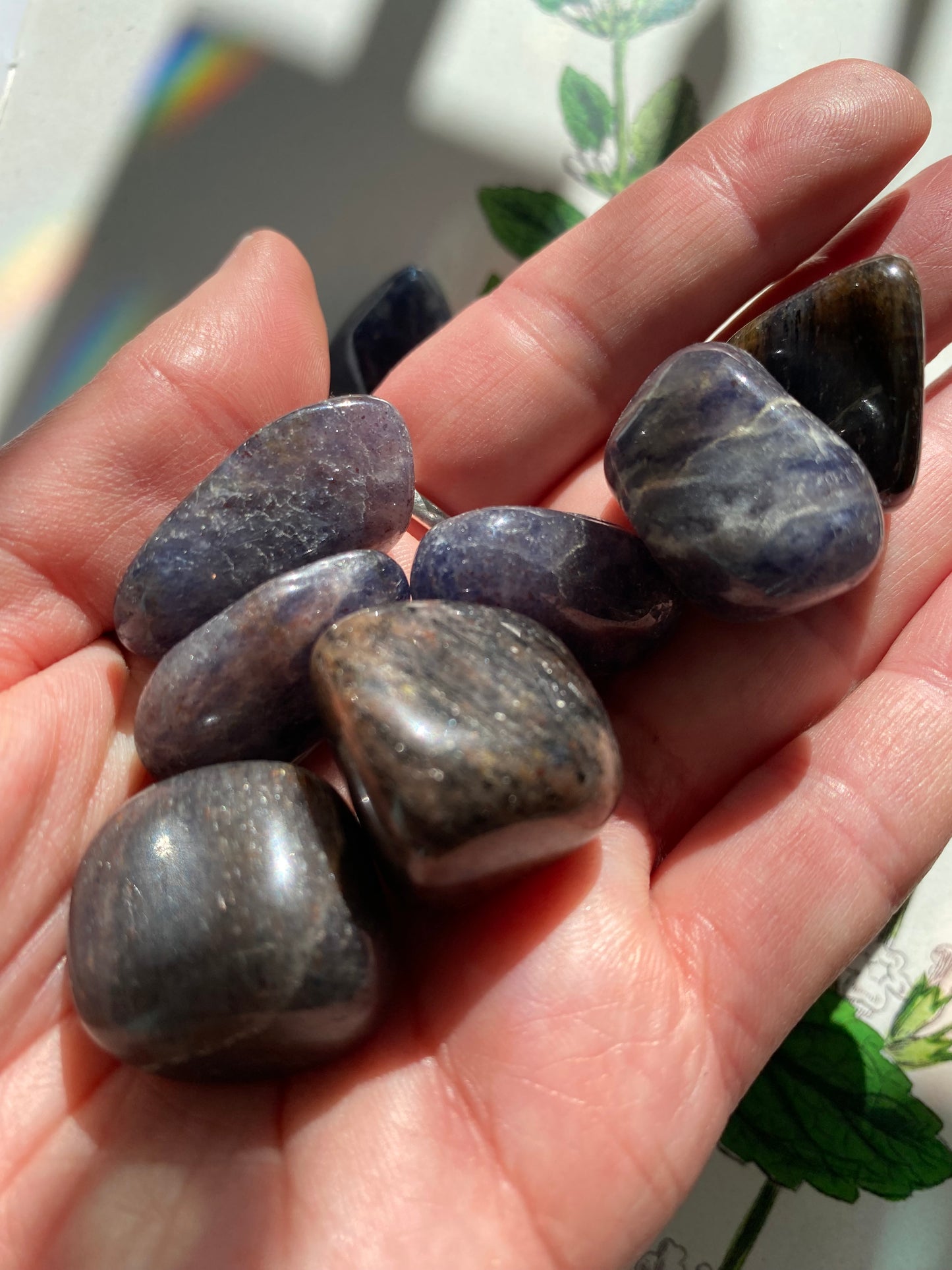 Iolite Tumbled - Moon Room Shop and Wellness