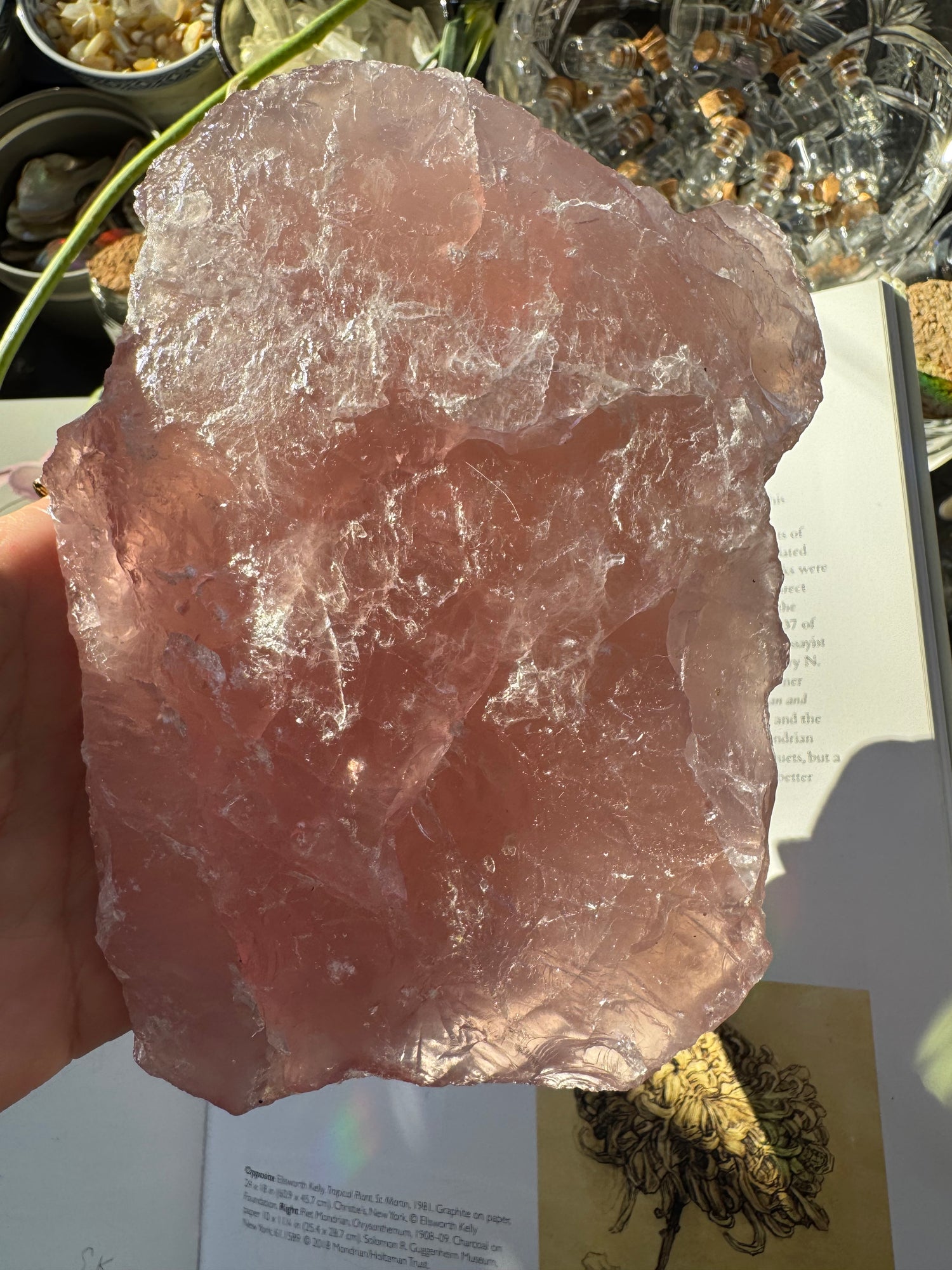 Rose Quartz Rough 2lb Piece Ethically Sourced - Moon Room Shop and Wellness