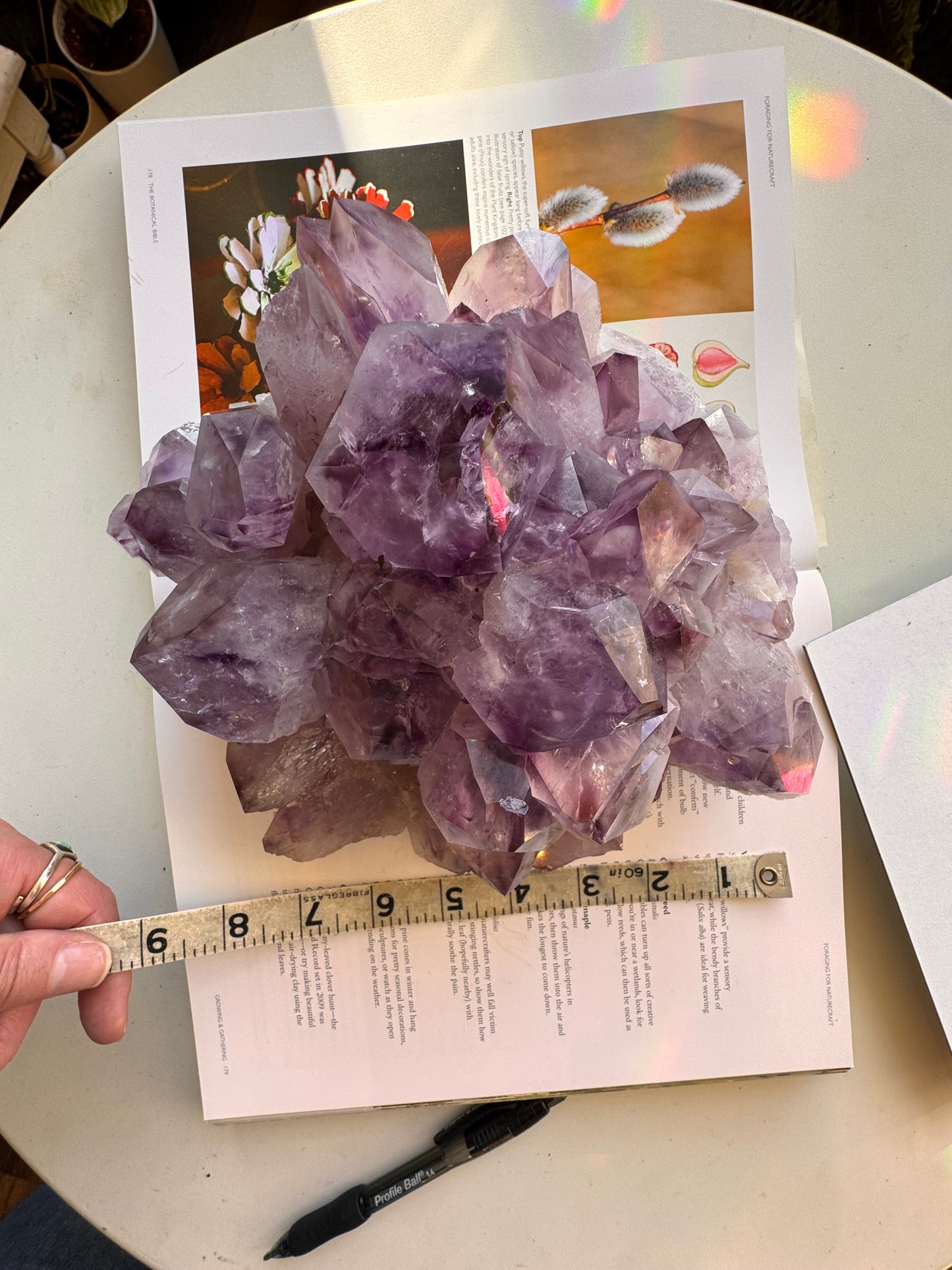 Phantom Amethyst Cluster 6.85 lb Brazil - Moon Room Shop and Wellness