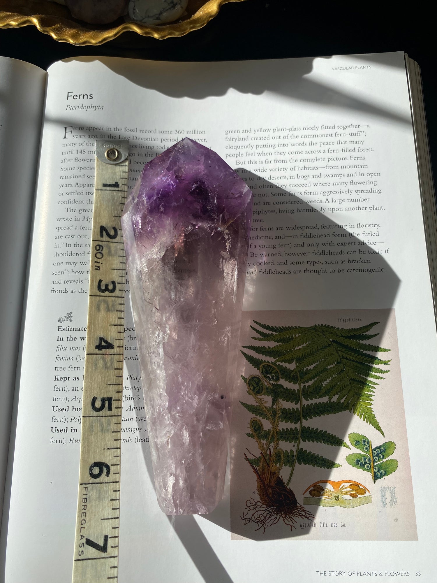 Amethyst Spear Point 358 g - Moon Room Shop and Wellness