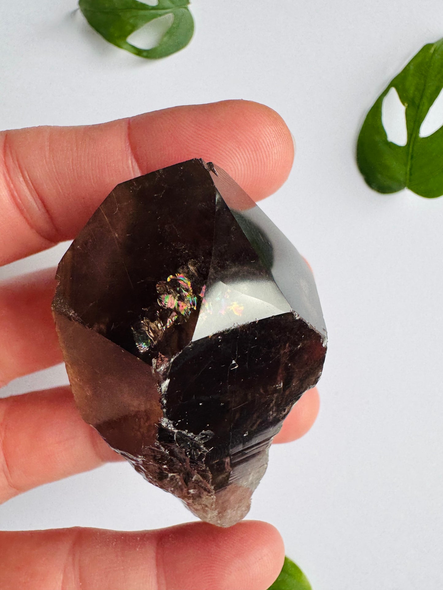 Smoky Quartz Rutilated Beauty 84 g. Brazil - Moon Room Shop and Wellness