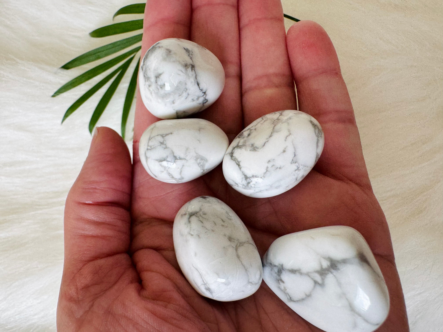 Howlite Tumbled - Moon Room Shop and Wellness