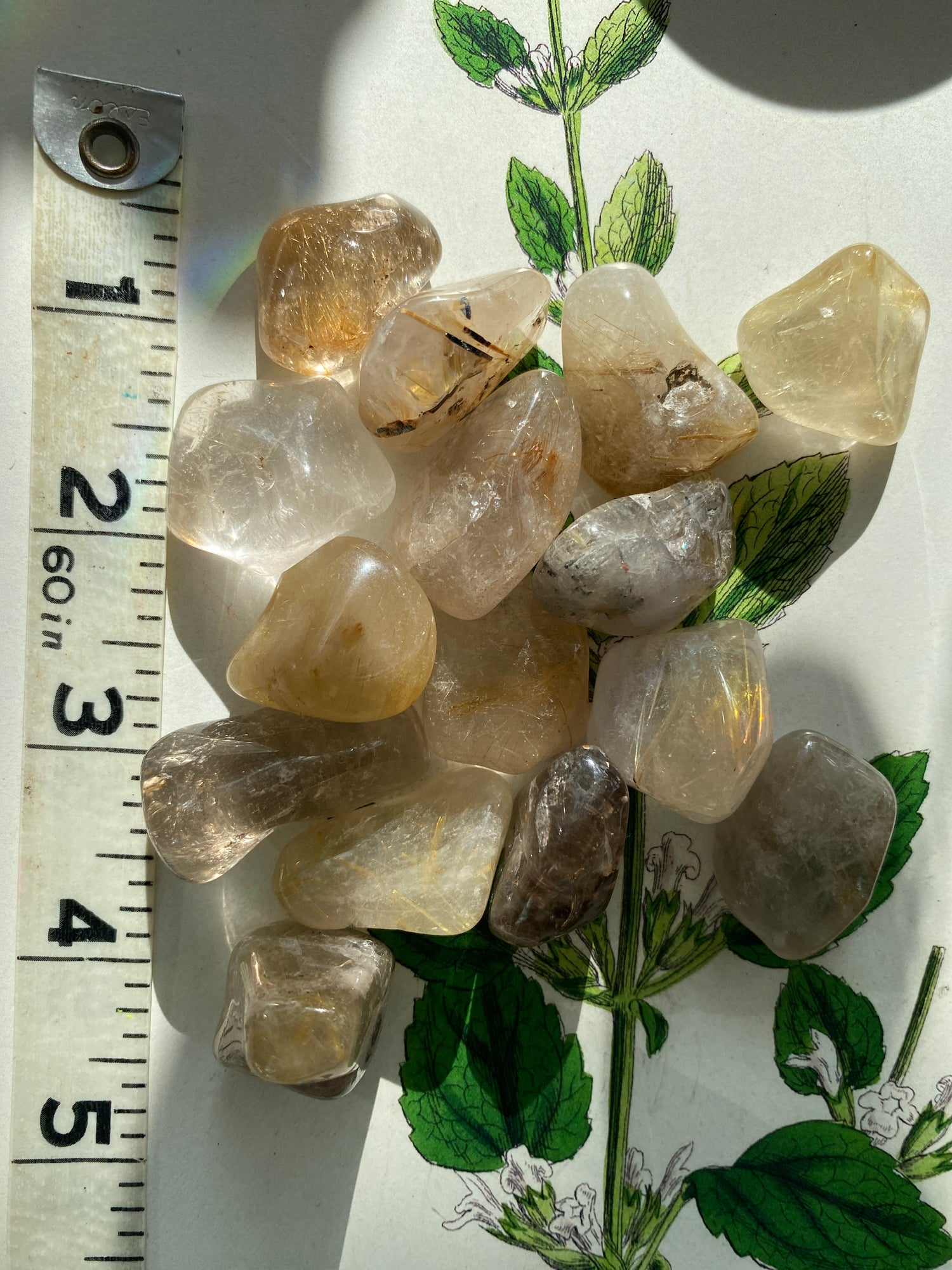 Rutilated Quartz Tumbled - Moon Room Shop and Wellness