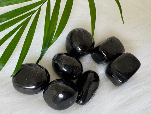 Jet Rock Tumbled - Moon Room Shop and Wellness