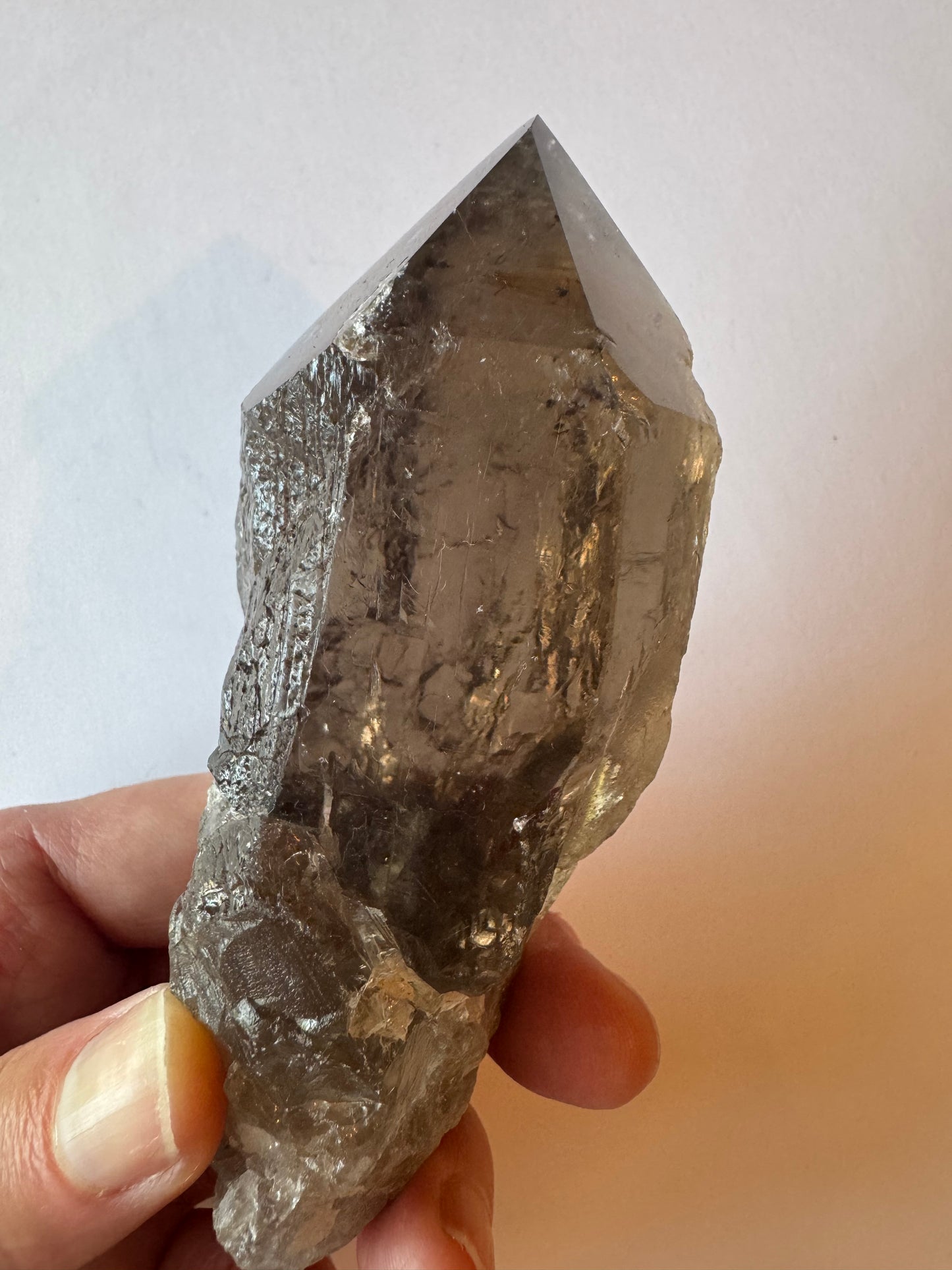 Smoky Quartz Rultilated Point 240 g Brazil Spectacular Beauty - Moon Room Shop and Wellness