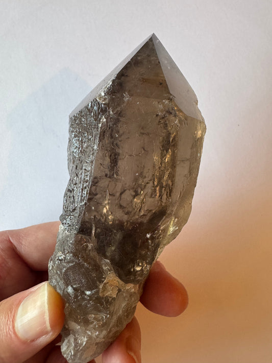 Smoky Quartz Rultilated Point 240 g Brazil Spectacular Beauty - Moon Room Shop and Wellness
