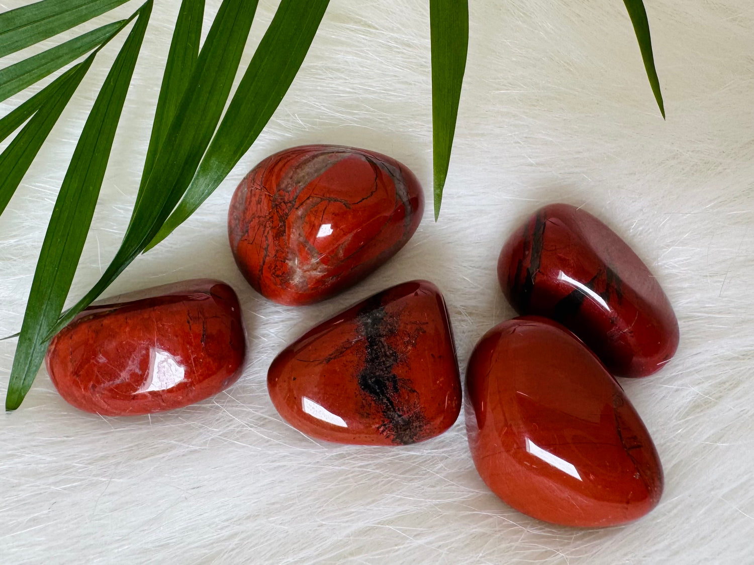 Red Jasper Tumbled India - Moon Room Shop and Wellness