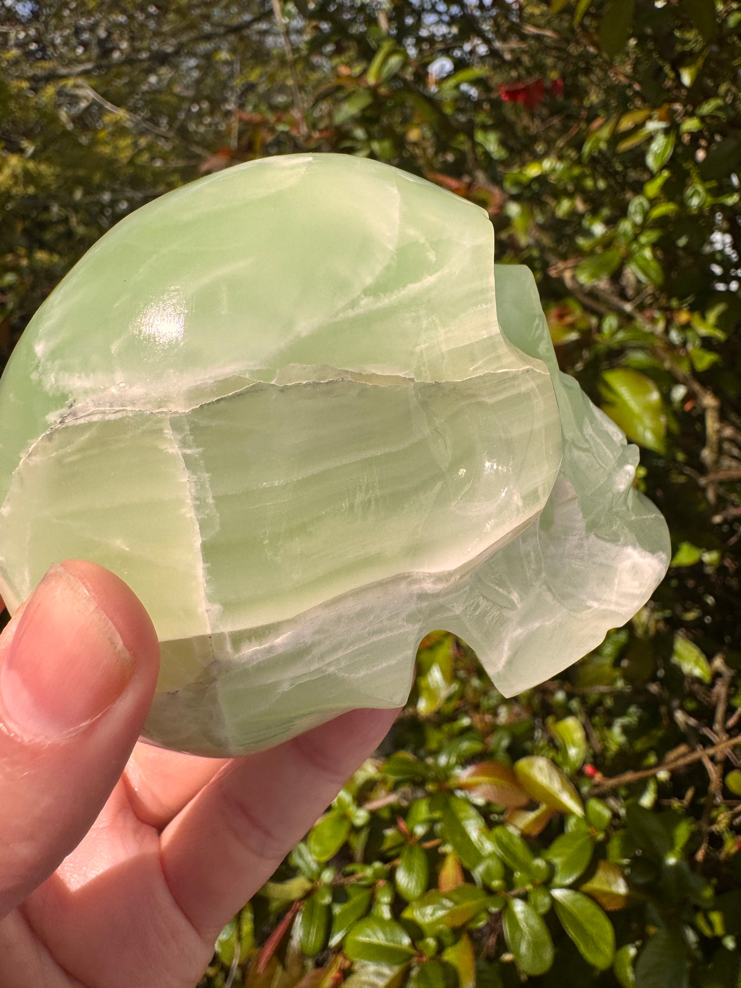 Green Onyx/Calcite Skull  1.76 lb Mexico - Moon Room Shop and Wellness