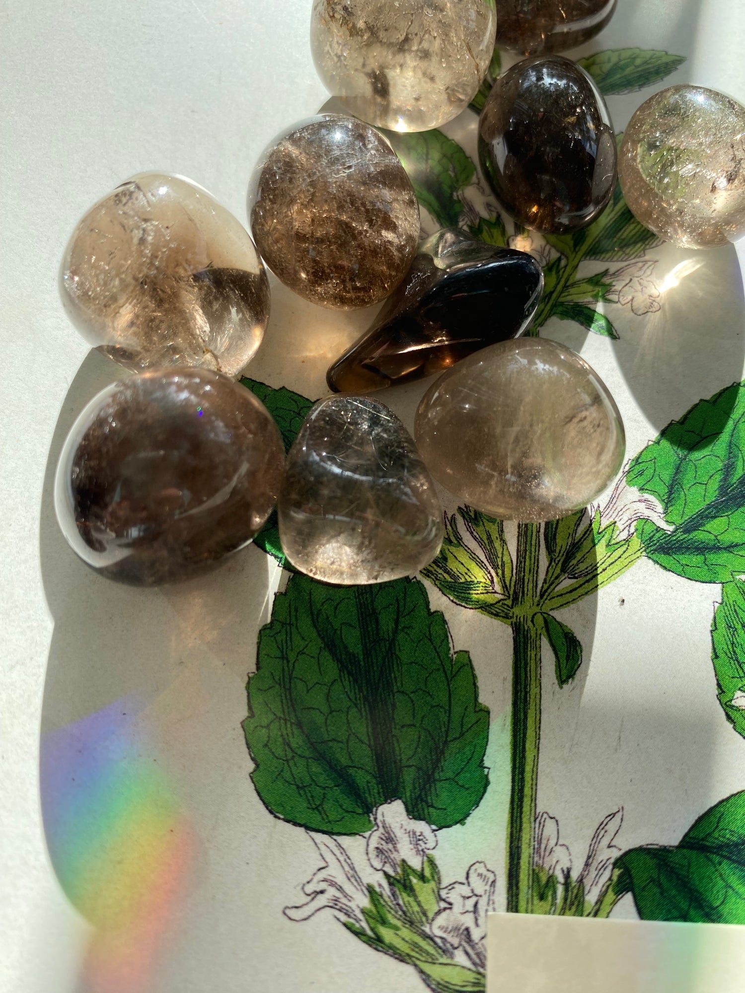 Smoky Quartz Tumbled - Moon Room Shop and Wellness