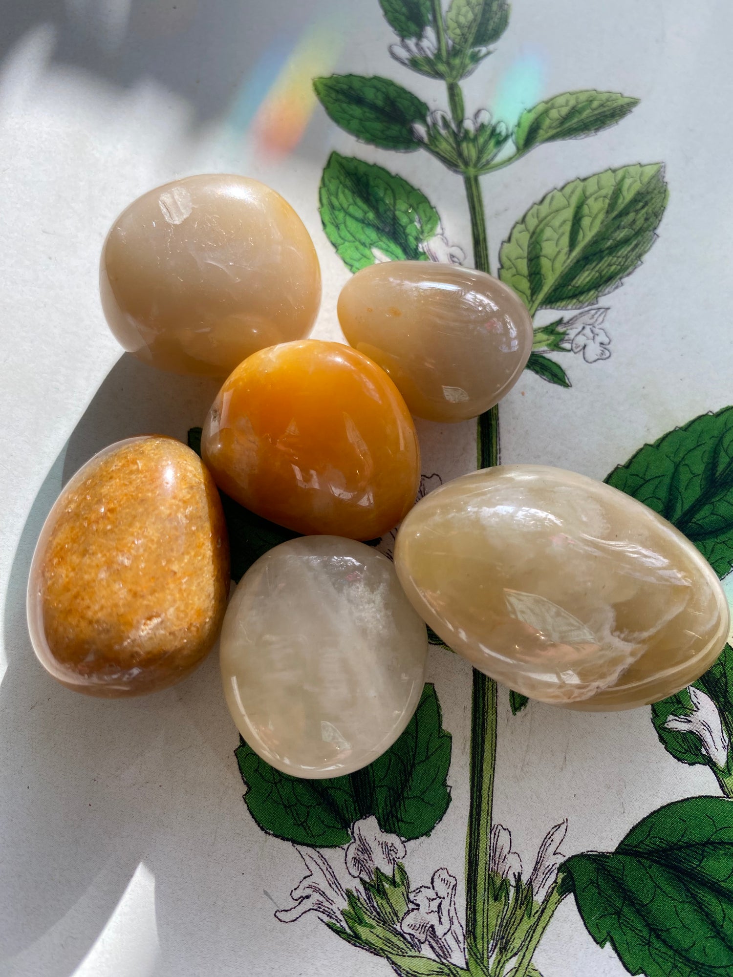 Yellow Jade Tumbled - Moon Room Shop and Wellness