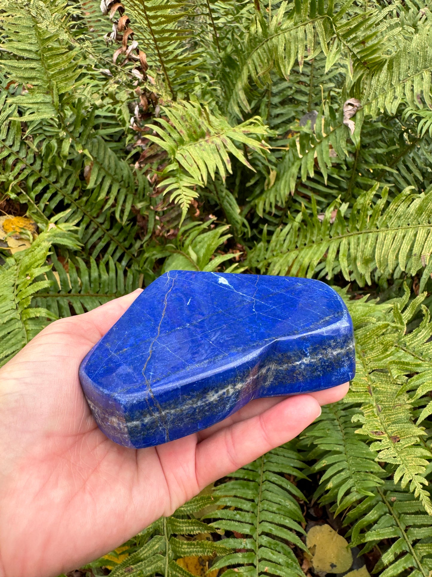 Lapis Lazuli Freeform Afghanistan 1.1 lb - Moon Room Shop and Wellness