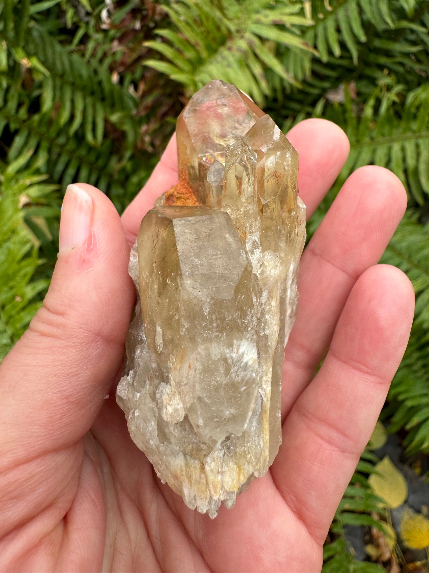 Kundalini Citrine 120 g Rainbows!! - Moon Room Shop and Wellness