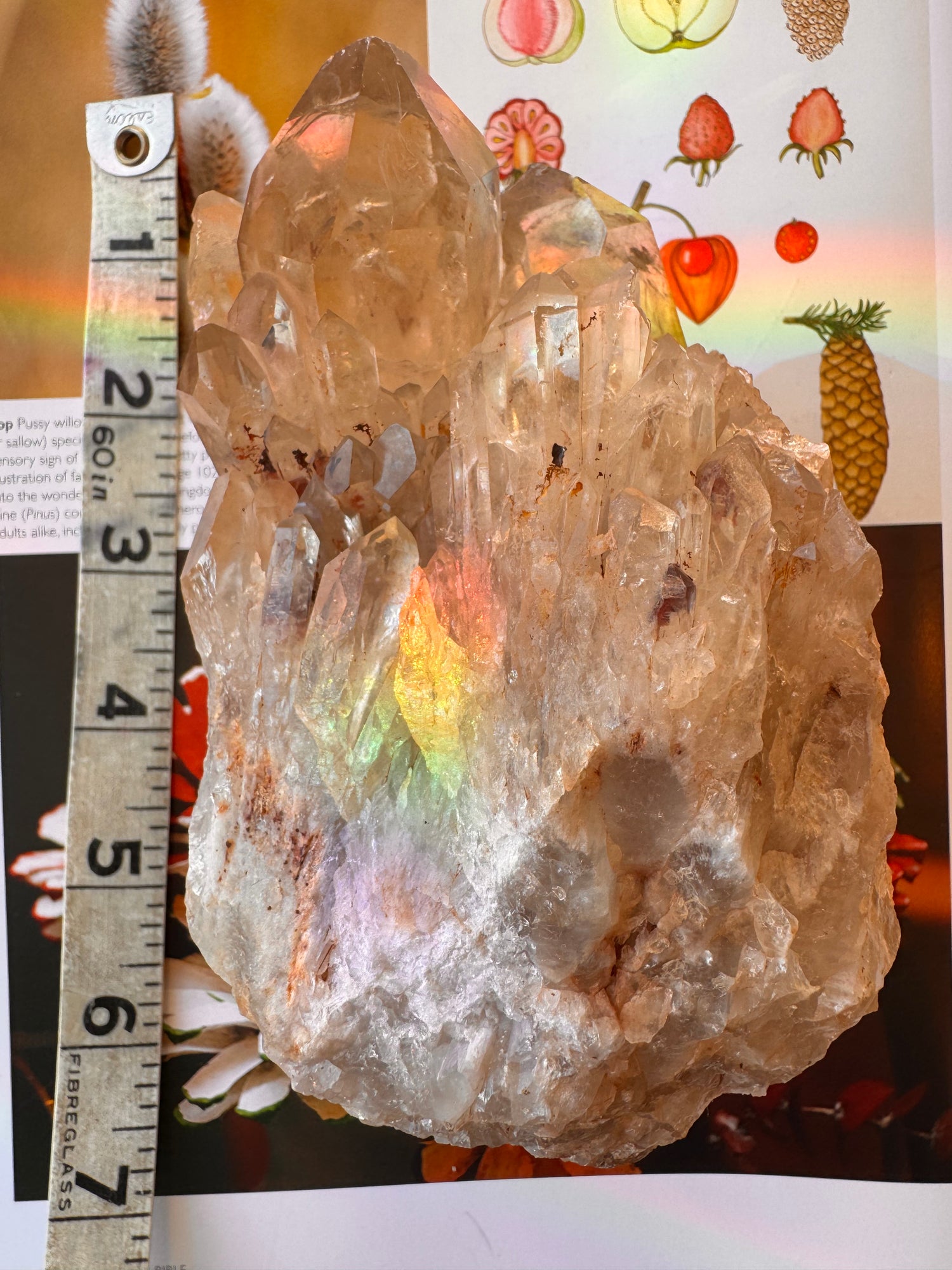 Citrine Natural Specimens- 1.91 lb- Congo - Moon Room Shop and Wellness