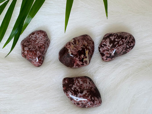 Red Leopard Skin Jasper Tumbled - Moon Room Shop and Wellness