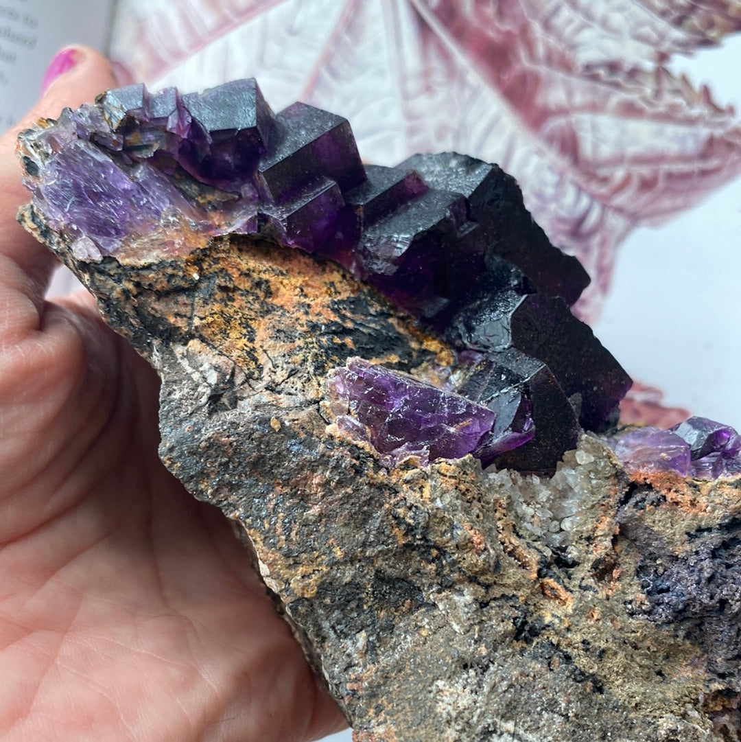 Purple Cubic Fluorite Specimen - Moon Room Shop and Wellness