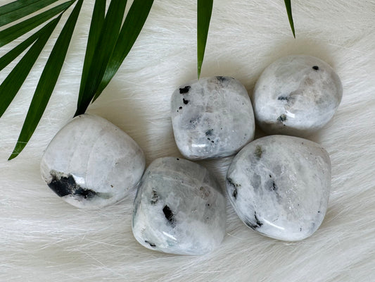 Rainbow Moonstone Tumbled - Moon Room Shop and Wellness