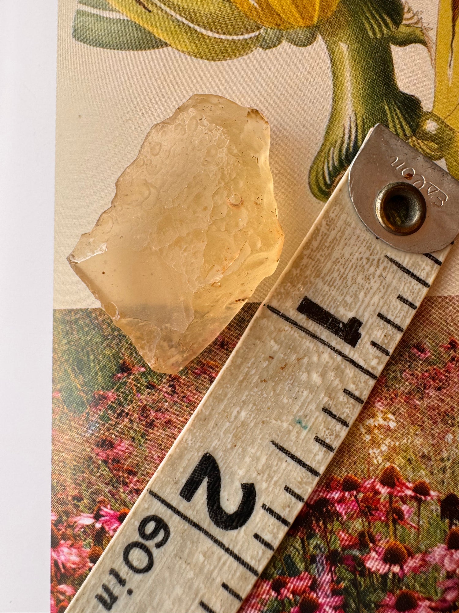 Libyan Desert Glass Tektite 5.5 gram - Moon Room Shop and Wellness