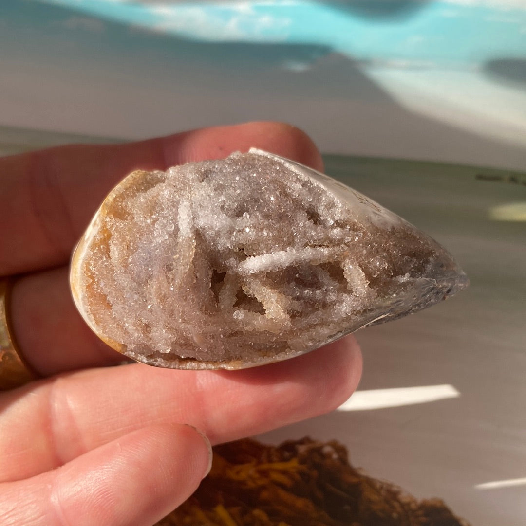 Fossilized Spiralite Quartz Shell 37g - Moon Room Shop and Wellness